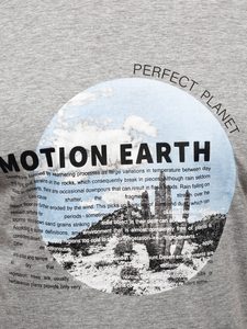 Сива памучна мъжка тениска с щампа Bolf MPO3466