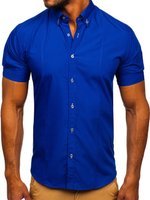 Метличиносин