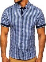 Метличиносин