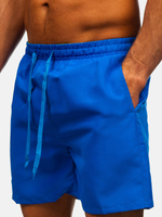 Метличиносин